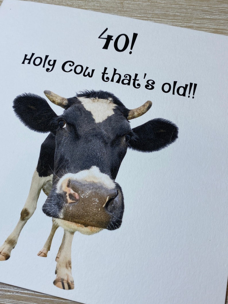 Pu&ograve; includere: Un biglietto di auguri di compleanno divertente con una mucca bianco e nero e il testo "40! Holy Cow that's old!"