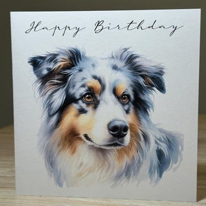 Border Collie Birthday card , Dog birthday card,  personalised birthday card, personalised dog birthday card, 7x5 inch birthday card.