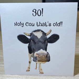 Pu&ograve; includere: Un biglietto di auguri di compleanno divertente con una mucca bianco e nero e il testo "30! Holy Cow that's old!"