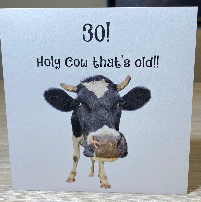 Pu&ograve; includere: Un biglietto di auguri di compleanno divertente con una mucca bianco e nero e il testo "30! Holy Cow that's old!"