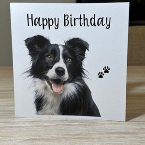 Border Collie Birthday card , Dog birthday card, black and white Border Collie ,  personalised birthday card, personalised dog birthday card