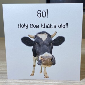 Pu&ograve; includere: Un biglietto di auguri di compleanno divertente con una mucca bianco e nero e il testo "60! Holy Cow that's old!"