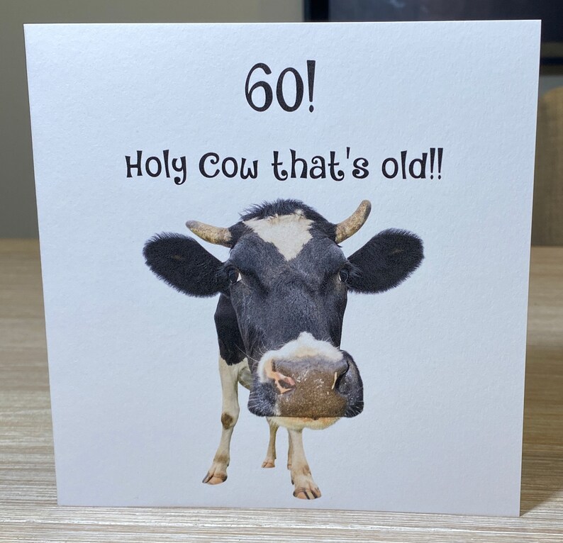 Pu&ograve; includere: Un biglietto di auguri di compleanno divertente con una mucca bianco e nero e il testo "60! Holy Cow that's old!"