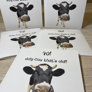 Pu&ograve; includere: Cinque biglietti d'auguri con un'immagine di una mucca in bianco e nero e il testo "Holy Cow that's old!" con i numeri 30, 40, 50, 60 e 70 su ogni biglietto.