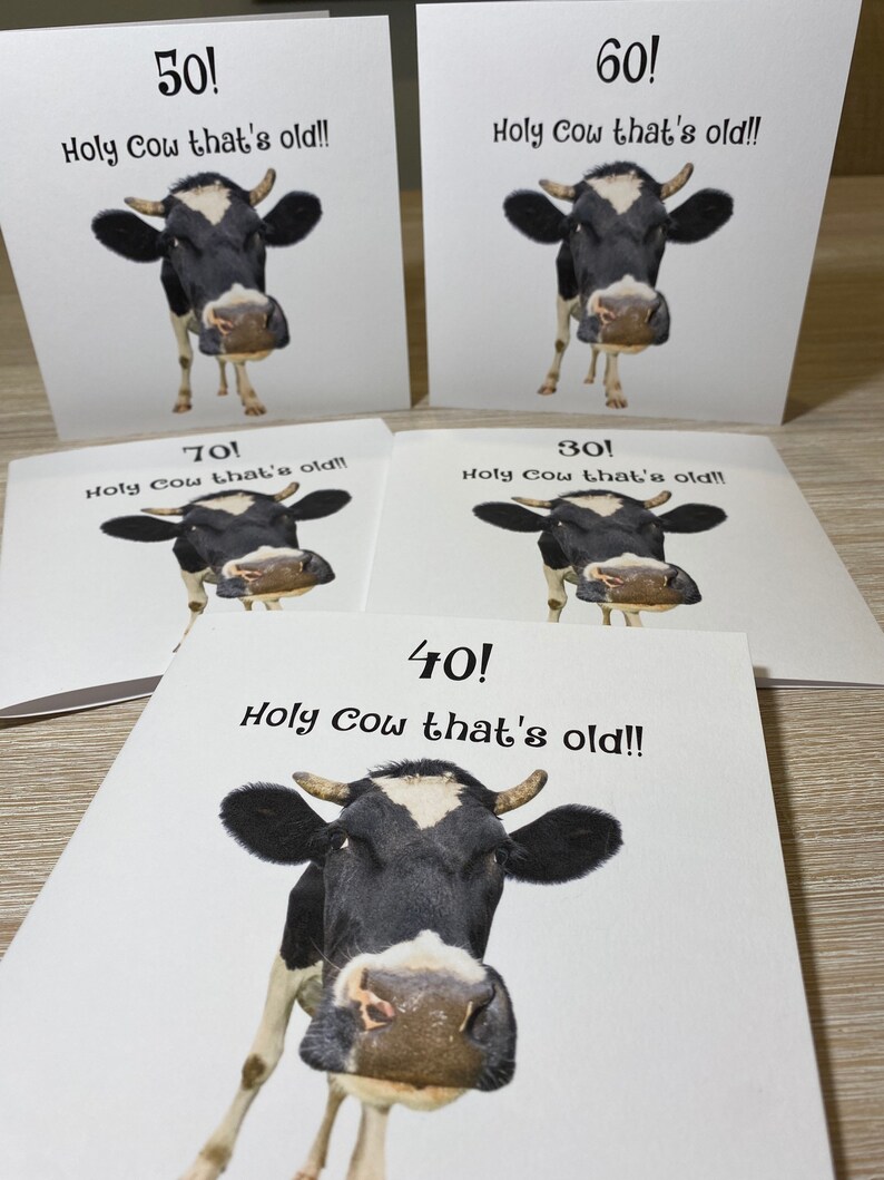 Pu&ograve; includere: Cinque biglietti d'auguri con un'immagine di una mucca in bianco e nero e il testo "Holy Cow that's old!" con i numeri 30, 40, 50, 60 e 70 su ogni biglietto.