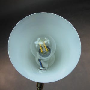 Pu&ograve; includere: Un paralume bianco con una lampadina trasparente all'interno. La lampadina ha un filamento giallo.