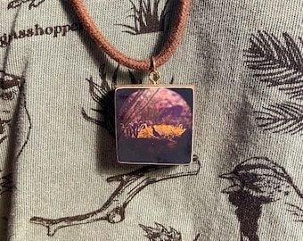 California Quail: Repurposed Skateboard Adjustable Necklace