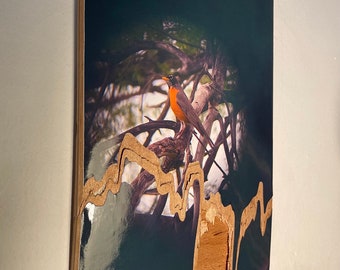 American Robin Cracked Recycled Skateboard Wall Art