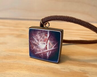 Bewick's Wren: Repurposed Skateboard Adjustable Necklace