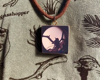 Acorn Woodpecker: Repurposed Skateboard Adjustable Necklace