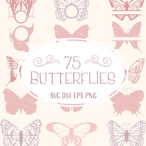 Papillon SVG, SVG monogramme papillon, papillon Mandala, papillon Split SVG, fichier coupe Svg papillons, Cricut papillon, camée papillon