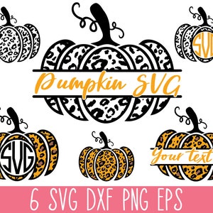 Op de afbeelding: Zes zwarte en oranje luipaardprint pompoen SVG-snijbestanden. De pompoenen hebben een banner met de tekst "Pumpkin SVG" en "Your text here".