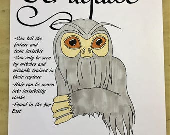 Fantastic Beasts And Where To Find Them Downloadable Coloring Page Demiguise