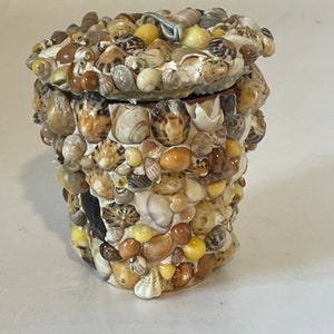 Może przedstawiać: Mały, okrągły, ozdobny pojemnik wykonany w całości z muszli. Pojemnik ma pokrywkę, która również jest wykonana z muszli. Pojemnik jest jasnobrązowy i zawiera różne muszle o różnych rozmiarach i kształtach.