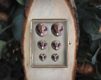 Barn Owl Head Cabochon Set - Woodland Bird Supply, Cottagecore Jewelry Making