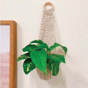 May include: A white crocheted hanging planter with a wooden ring at the top. A green plant with variegated leaves is growing inside the planter.