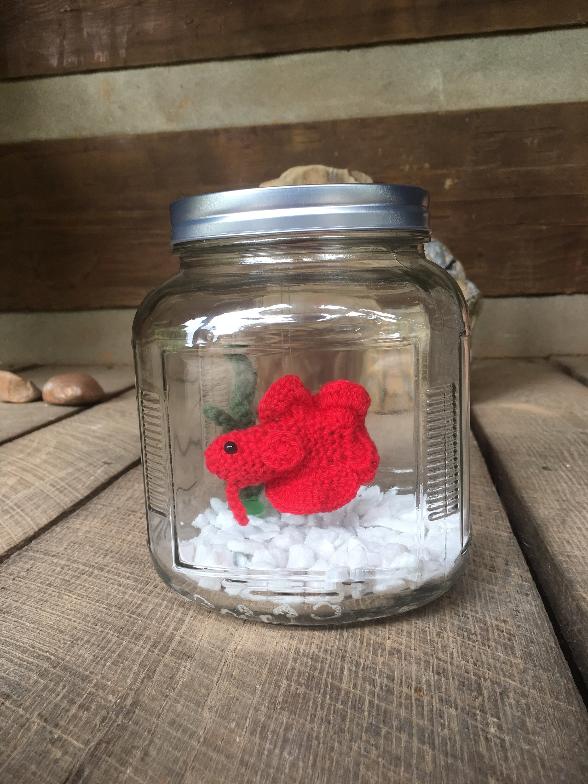 betta fish jar