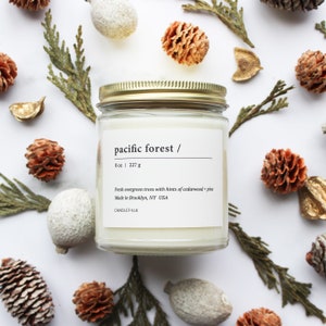 PACIFIC FOREST - 8 oz Soy Candle - Hand-Poured - Candlefolk