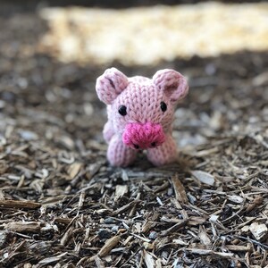 Puede incluir: Un juguete de cerdo de punto rosa con ojos negros y un hocico rosa. El juguete está sentado en una cama de virutas de madera marrón.