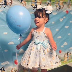 Bluey dress