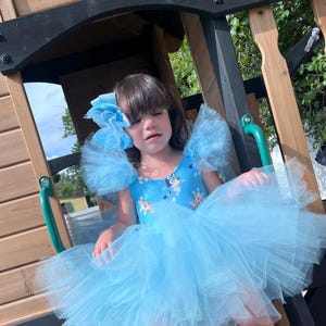 Bluey tutu dress