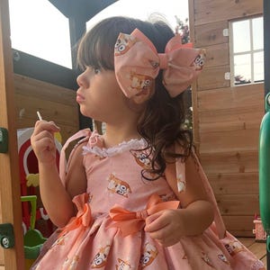 Bluey dress