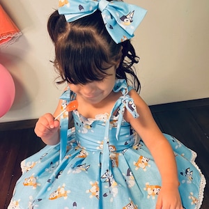 Bluey dress