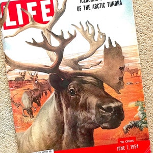 Life Magazine Special Double Issue Featuring The Arctic Tundra