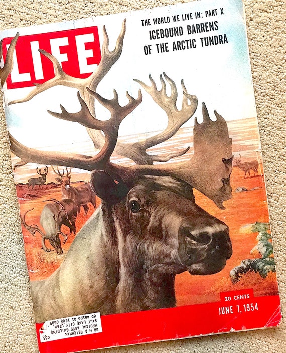 Life Magazine Special Double Issue Featuring the Arctic Tundra