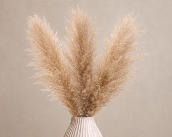 XL Natural Beige Pampas Grass Stem | Fluffy Boho Decor