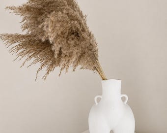Wild Brown Pampas Grass (70cm) | Dried Flower Bouquet