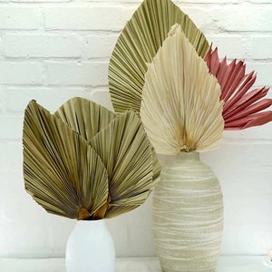 Lanças de palmeira grandes, médias e pequenas | Folha de palmeira-leque | Decoração boho/rústica para casa