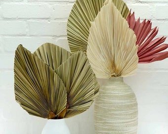 Palm Spears Large, Medium, Small | Fan Palm leaf | Boho/ Rustic Home Decor