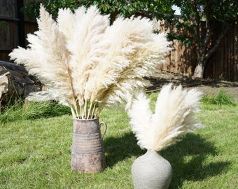 Ramo de hierba pampa natural esponjosa XL/50 cm 70 cm 90 cm 100 cm 110 cm alto extra grande pampa/ pampa seca al por mayor