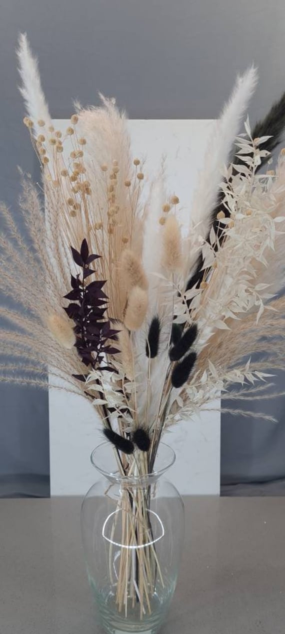 Pampas Grass Large black Fluffy Dried pampas arrangement