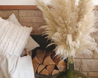 Natural Cream Pampas Grass Stem | Fluffy Boho Decor
