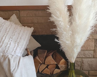 White Fluffy Pampas Grass 70cm 90cm 100cm 110cm pampas stem |London | Boho Decor