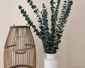 Preserved Eucalyptus Bunch, Dried Foliage, Botanical Bouquet (56cm)
