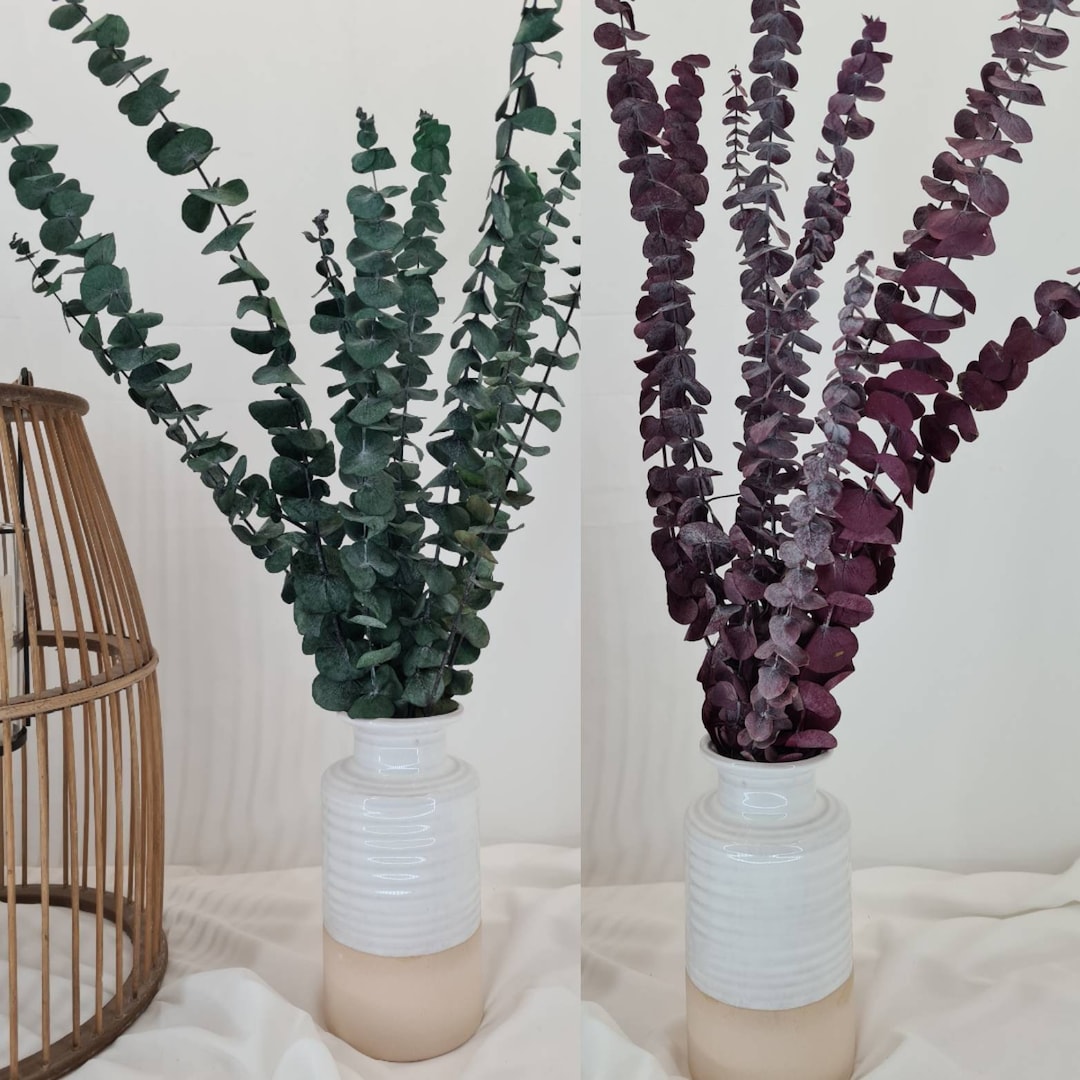 Dried Real Eucalyptus Branches 12 Stems, Natural Eucalyptus Leaves For