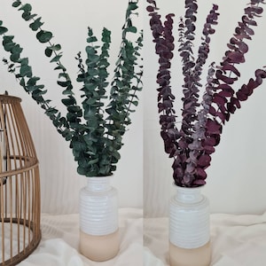 Green / Red &#39;Baby Blue&#39; Real Preserved Eucalyptus Bunch, 8-10 stems 70cm tall | Eucalyptus, Botanical Bouqet, Dried Foliage| UK