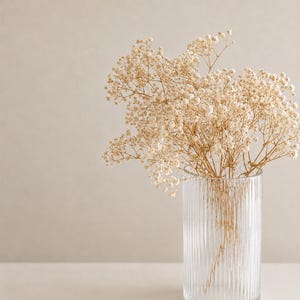 Preserved Gypsophila Bunch (Baby's breath) image 1