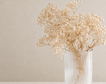 Preserved Gypsophila Bunch (Baby's breath)
