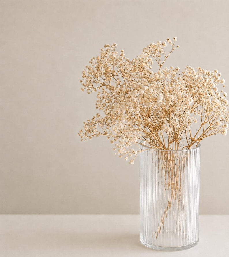 Preserved Gypsophila Bunch (Baby's breath) image 1