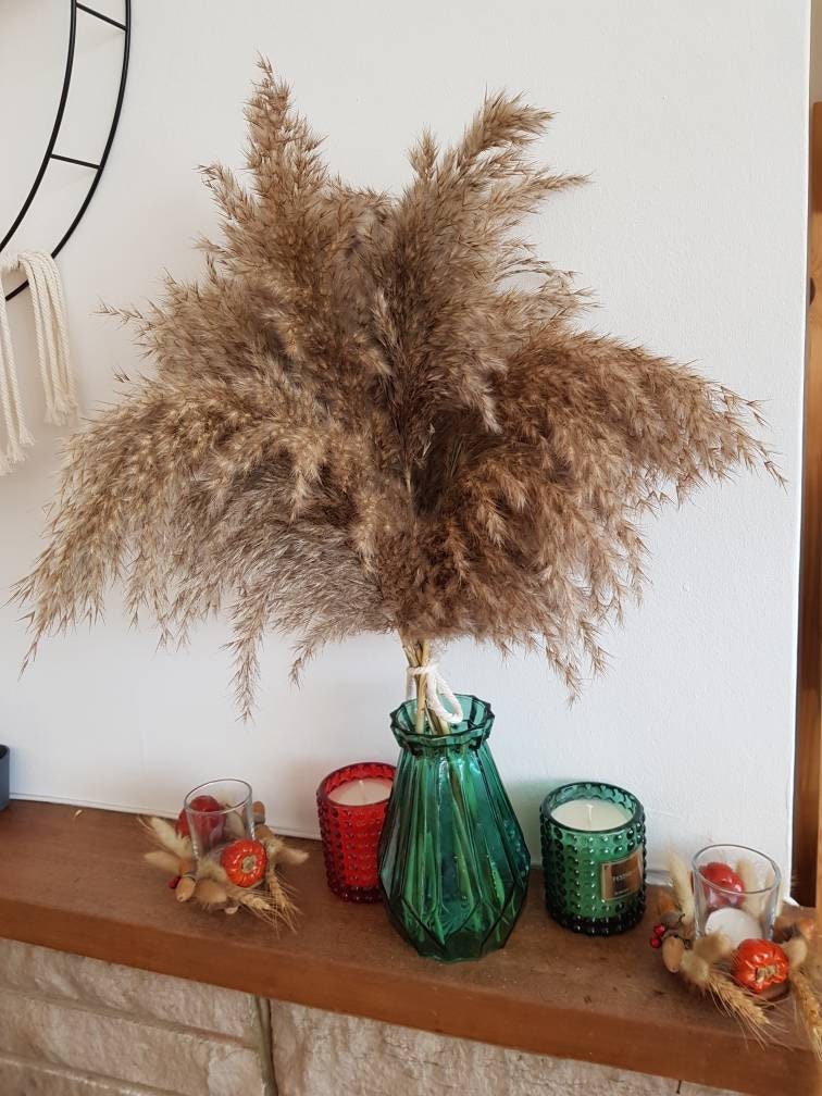 pampas grass decor uk pampas grass decor uk