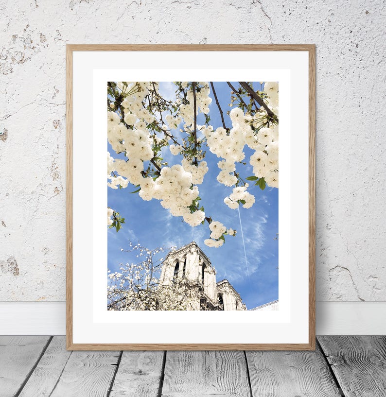 April In Paris Notre Dame Wall Art Photography Digital Springtime Print Collectibles Blossoms Blue