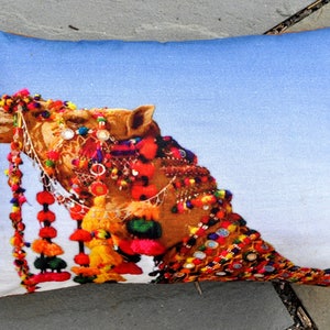 Indian Camel Pillow from Rattan