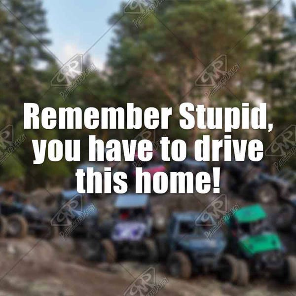 Remember Stupid, you have to drive this home! Vinyl Decal Bumper Sticker perfect for Truck Window Decal, Car Hood Decal or Camper Decal