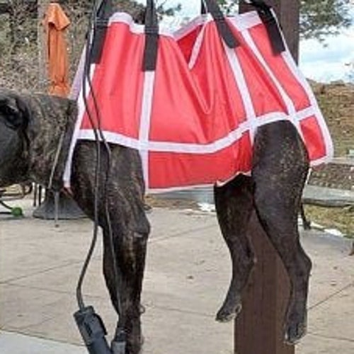 Large Breed Dog Grooming Hammock Sling Eazy Nail Triming Etsy