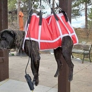 Extra large dog hammock for truck cheap