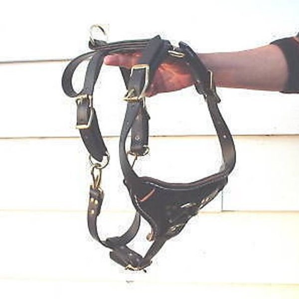 Biothane harness quick on and off / police k9 ipo schutzhund
